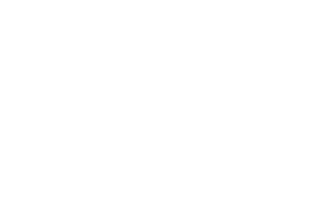 Lyon Beats logo